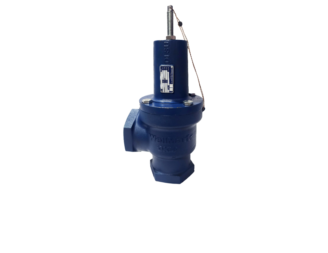 W9500 3″ Threaded Safety Relief Valves